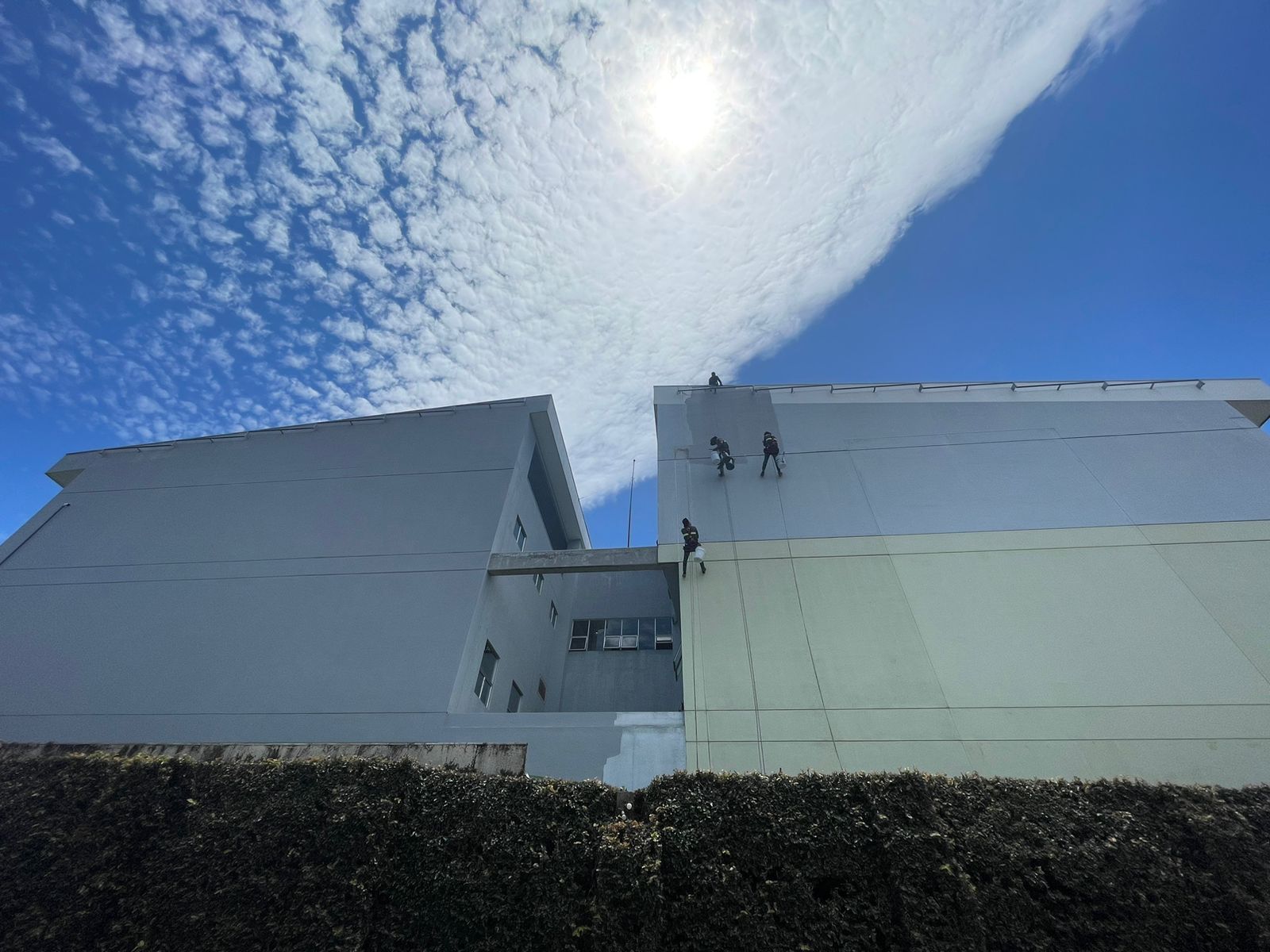 gallery grid image