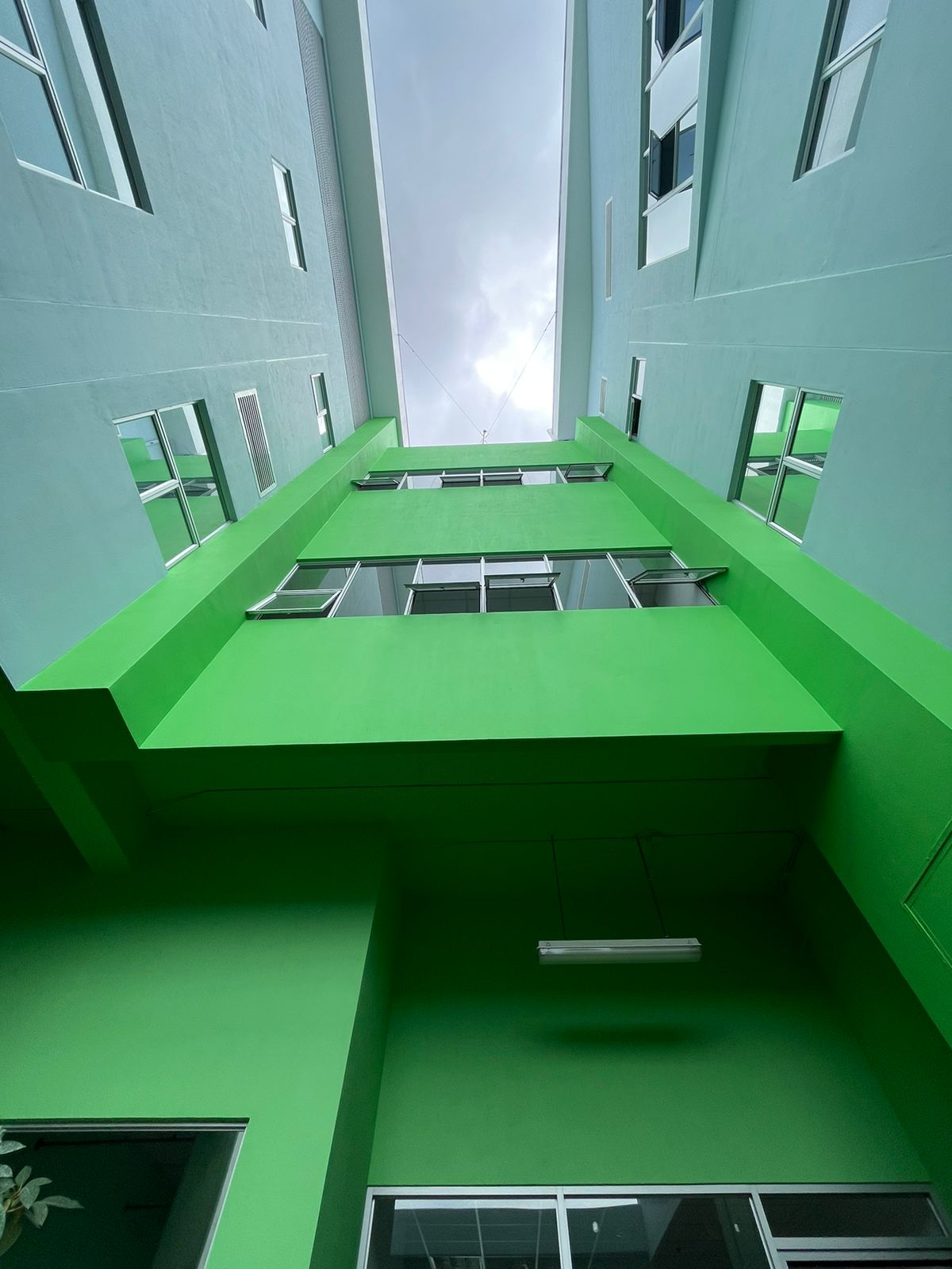 gallery grid image