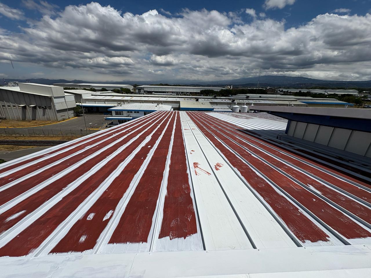 gallery grid image